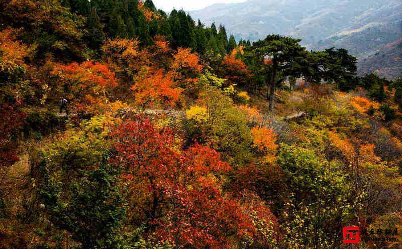 門頭溝樊低下2天團建拓展活動方案