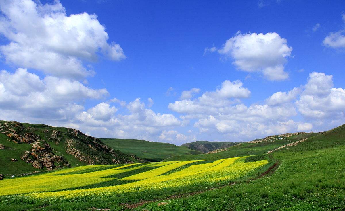 黃花溝景區(qū)團建活動心得體會