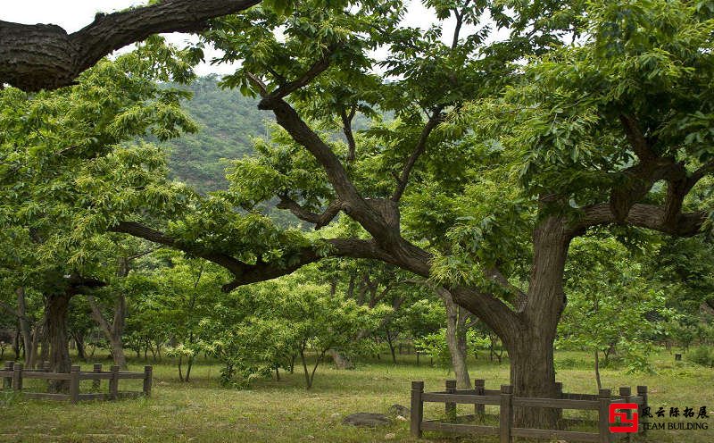 懷柔黃花城水長城團建拓展訓練