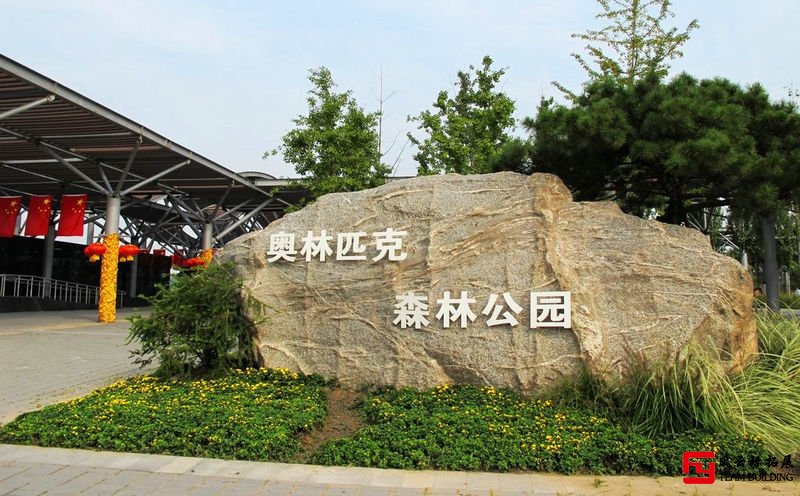 奧林匹克森林公園半天團建拓展活動方案