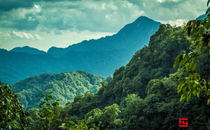 都江堰團建好去處之一青城后山