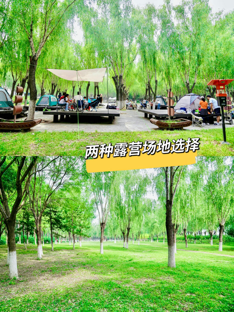 通州大運(yùn)河森林公園露營團(tuán)建